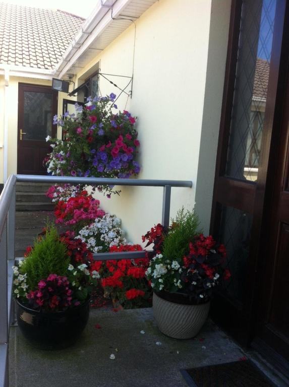 Hillview House Otel Lusk Dış mekan fotoğraf