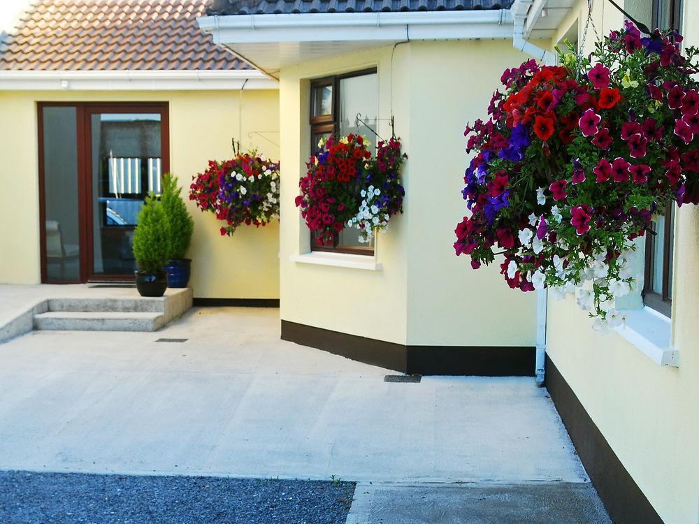 Hillview House Otel Lusk Dış mekan fotoğraf
